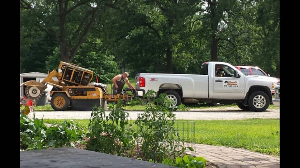 tree service company vehicle and equipment